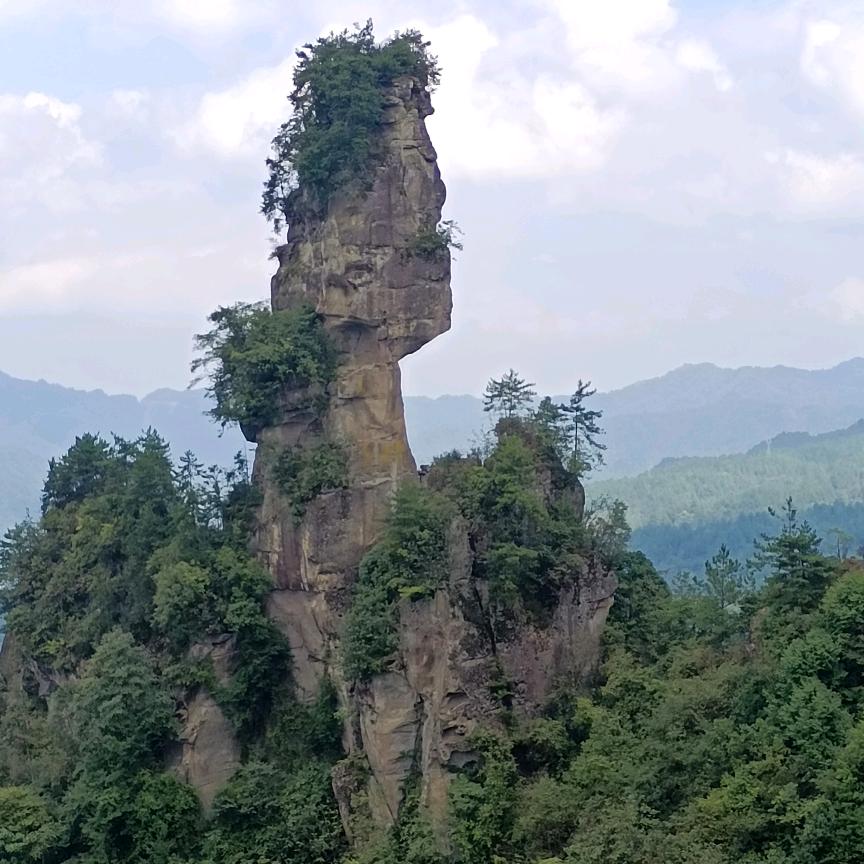 顺其自然