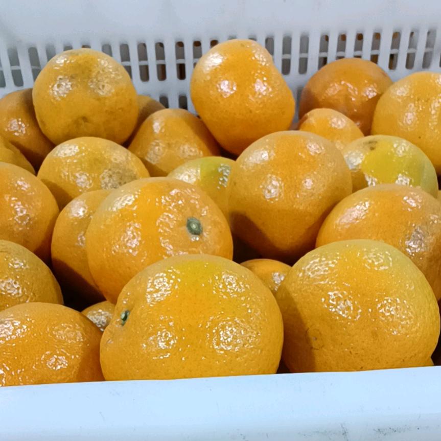 用户1687276118826