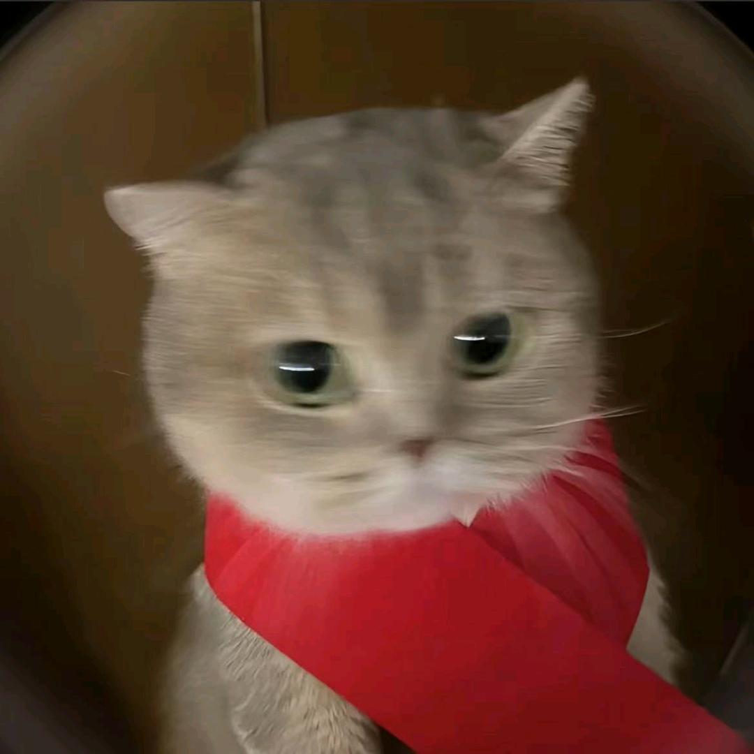 三月的风。