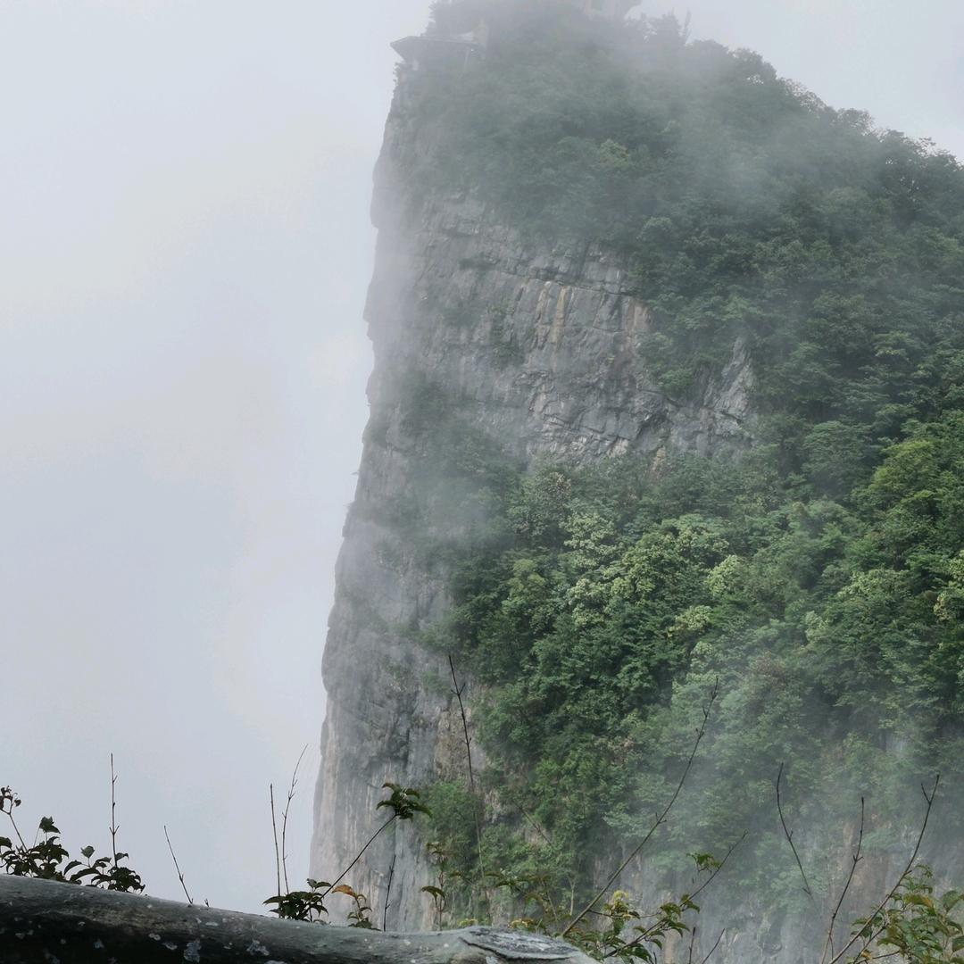 李老师。（叫叫阅读团购）
