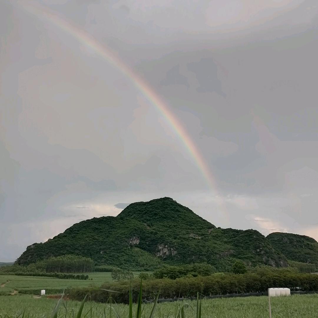 彭