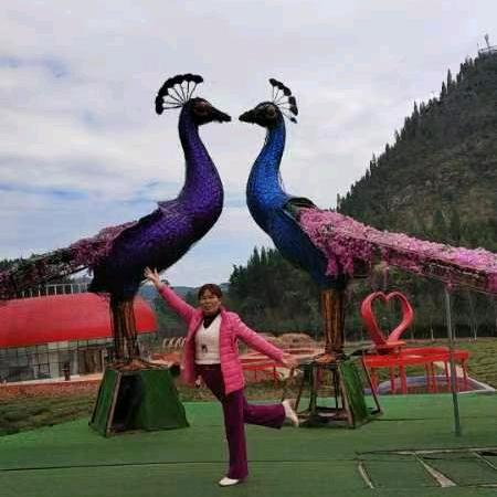 爱跳舞的新桥花姐