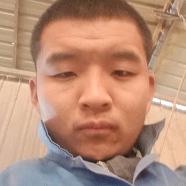 王子强强