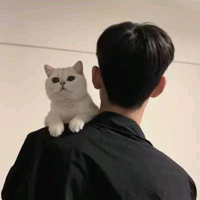 Mr孙