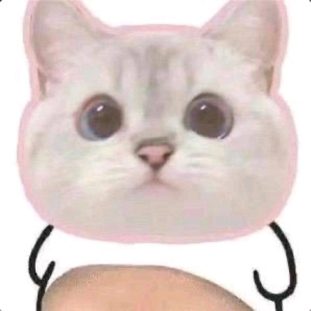 瞌睡