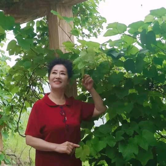 希望A（拒私聊）