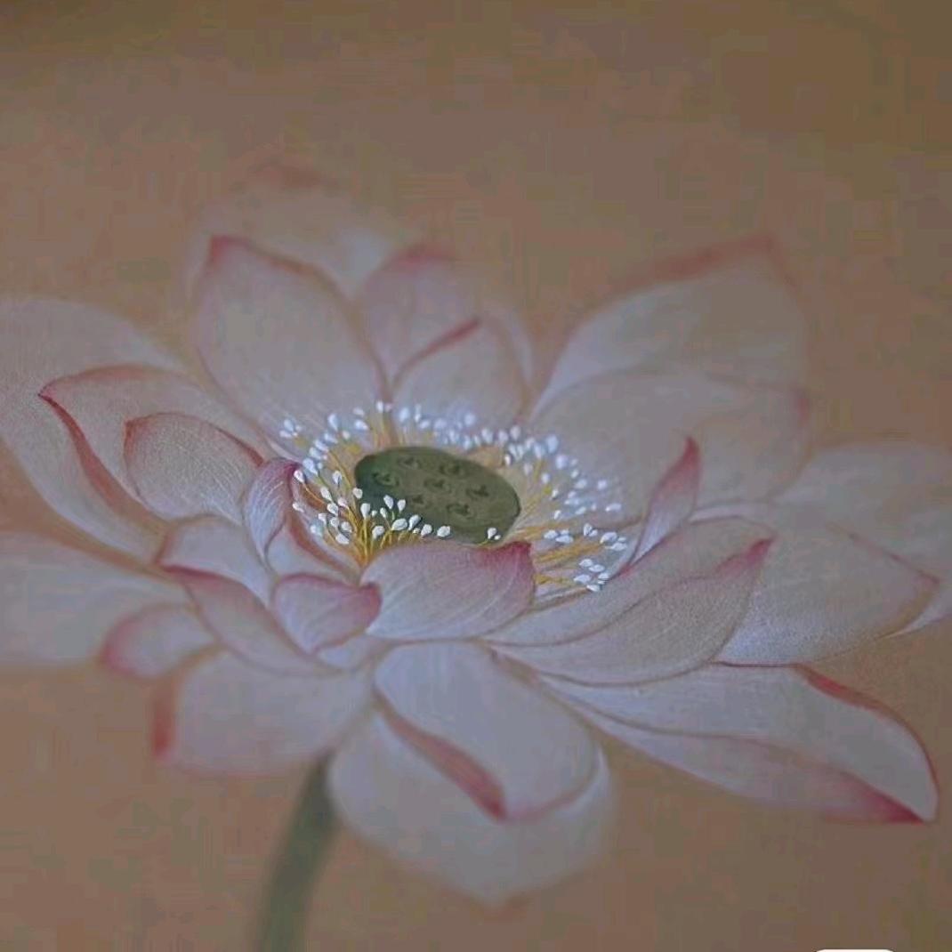 如意堂·十四师姐·妙念6