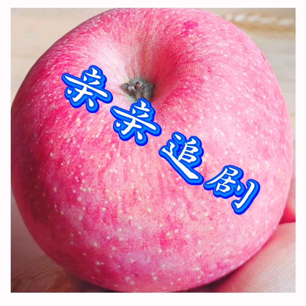就爱追剧