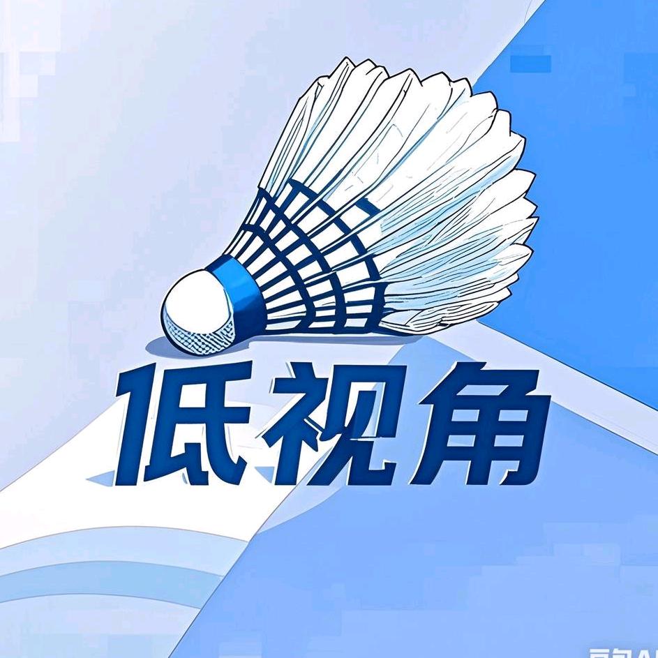 低视角羽毛球