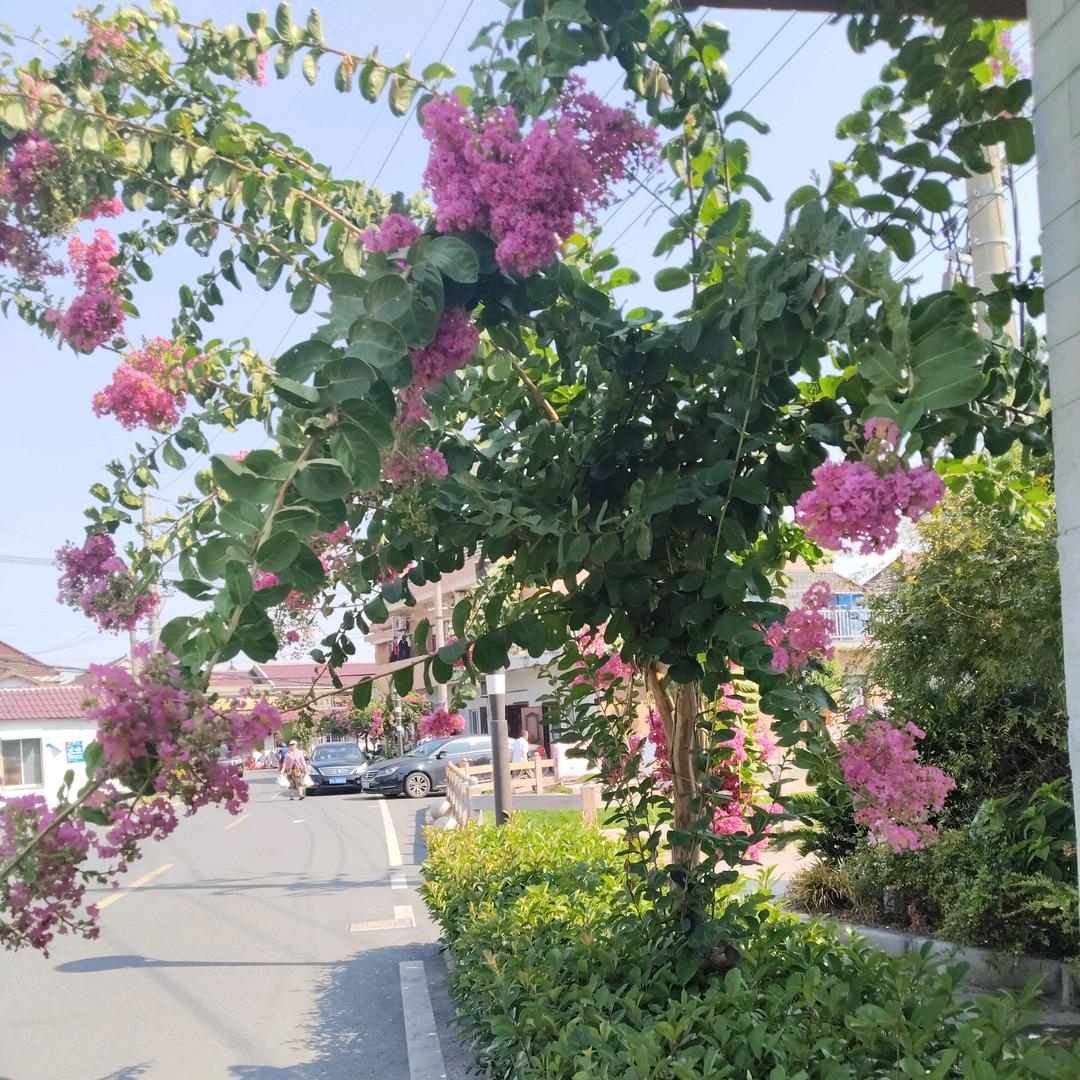 一粒微尘
