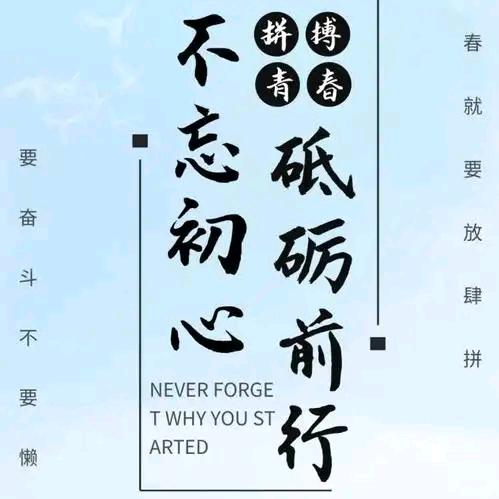 美丽的田野