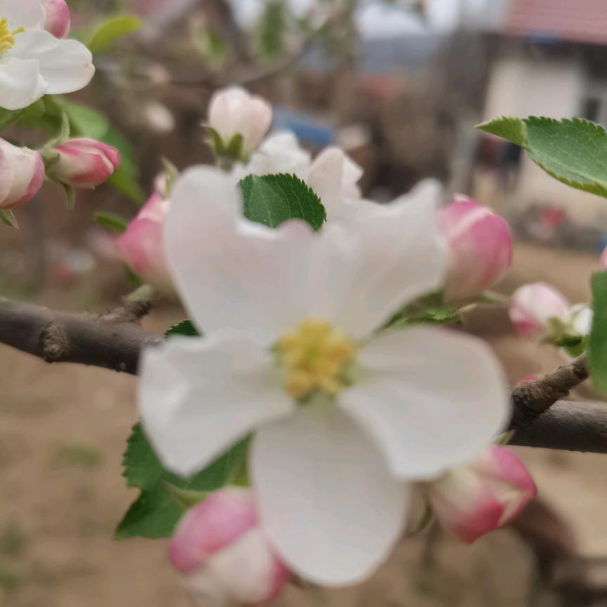 阳光