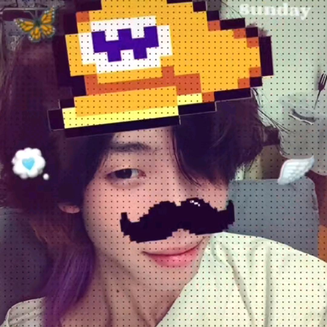 风信子🪻