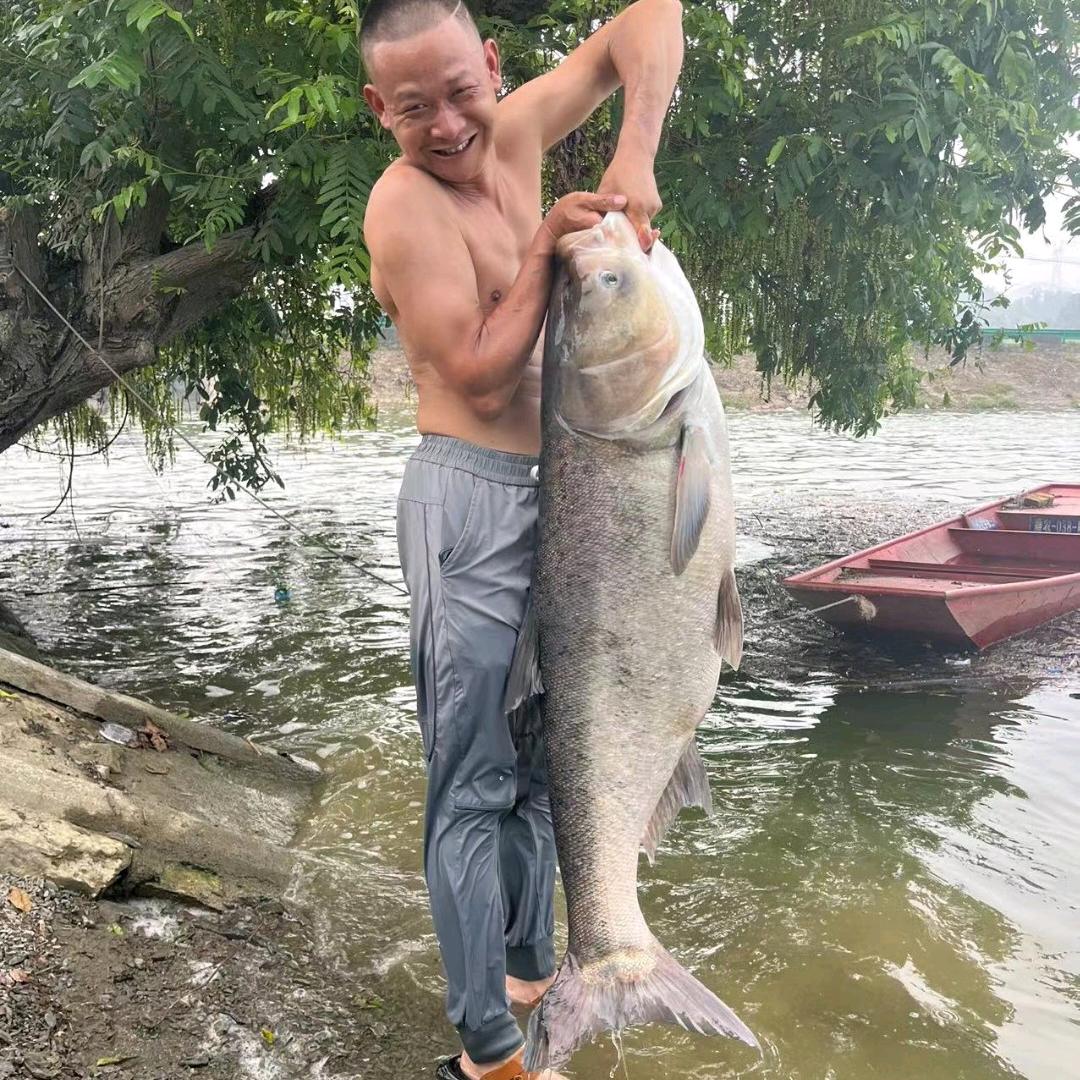 🐟鱼情未了