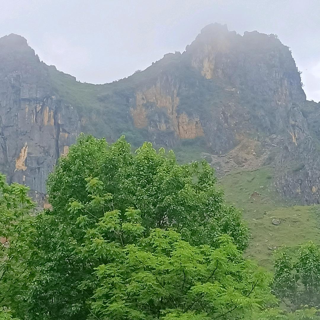 小土豆