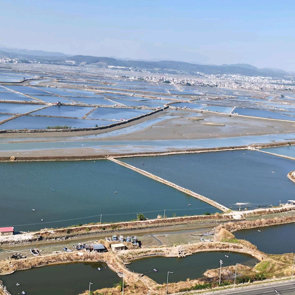 🎋᭄᭄❤️奔跑🍃🌱在路上💪