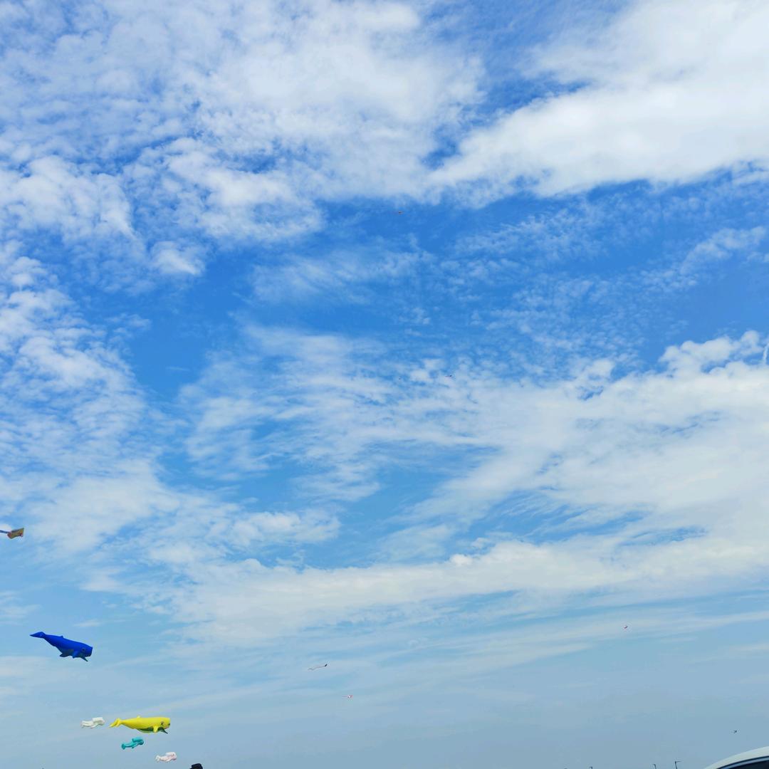 小蘇歌