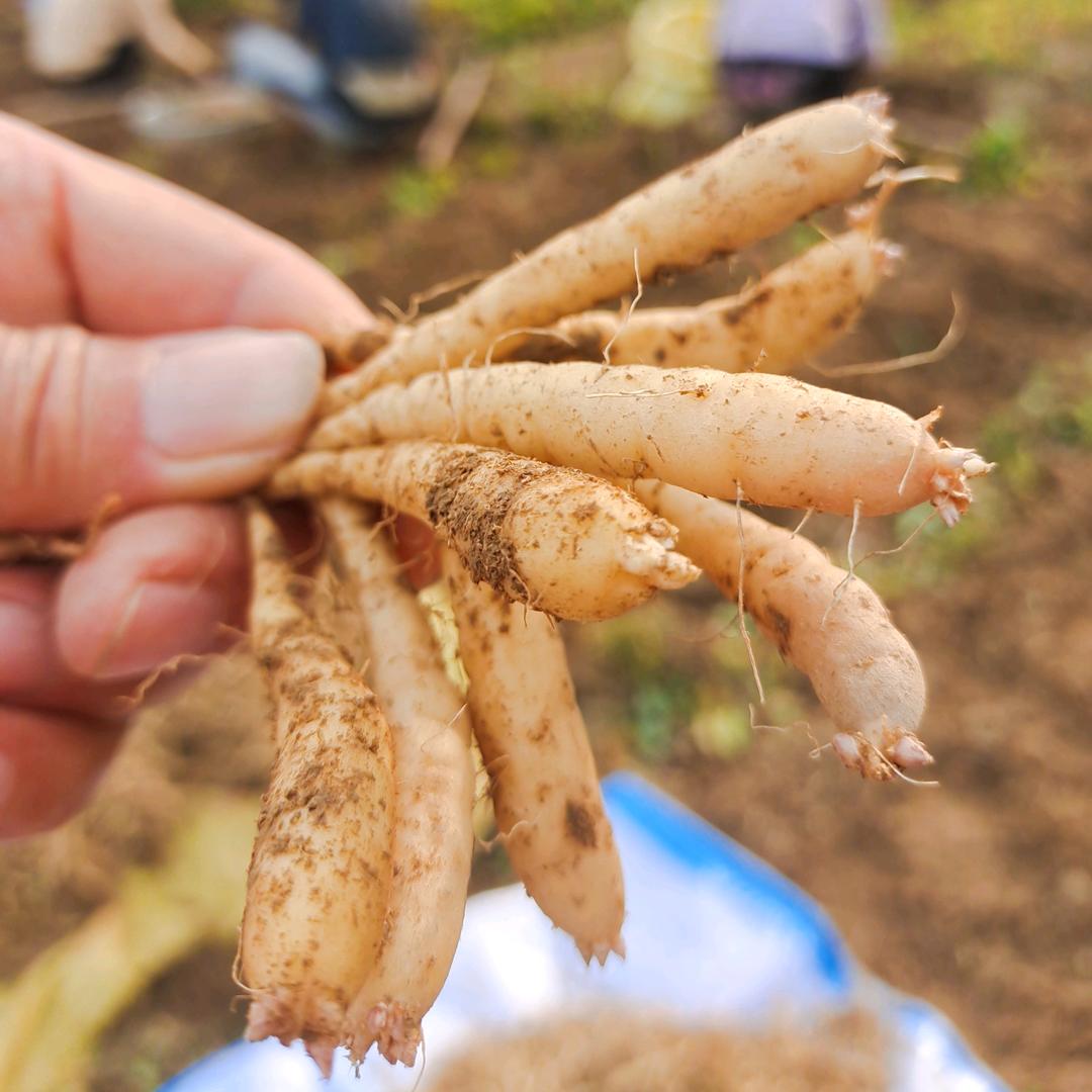 人间冰美式🍷🍹🍾💦🍒🍒