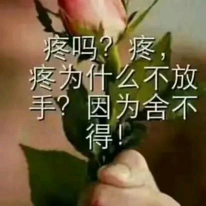 不堪回首