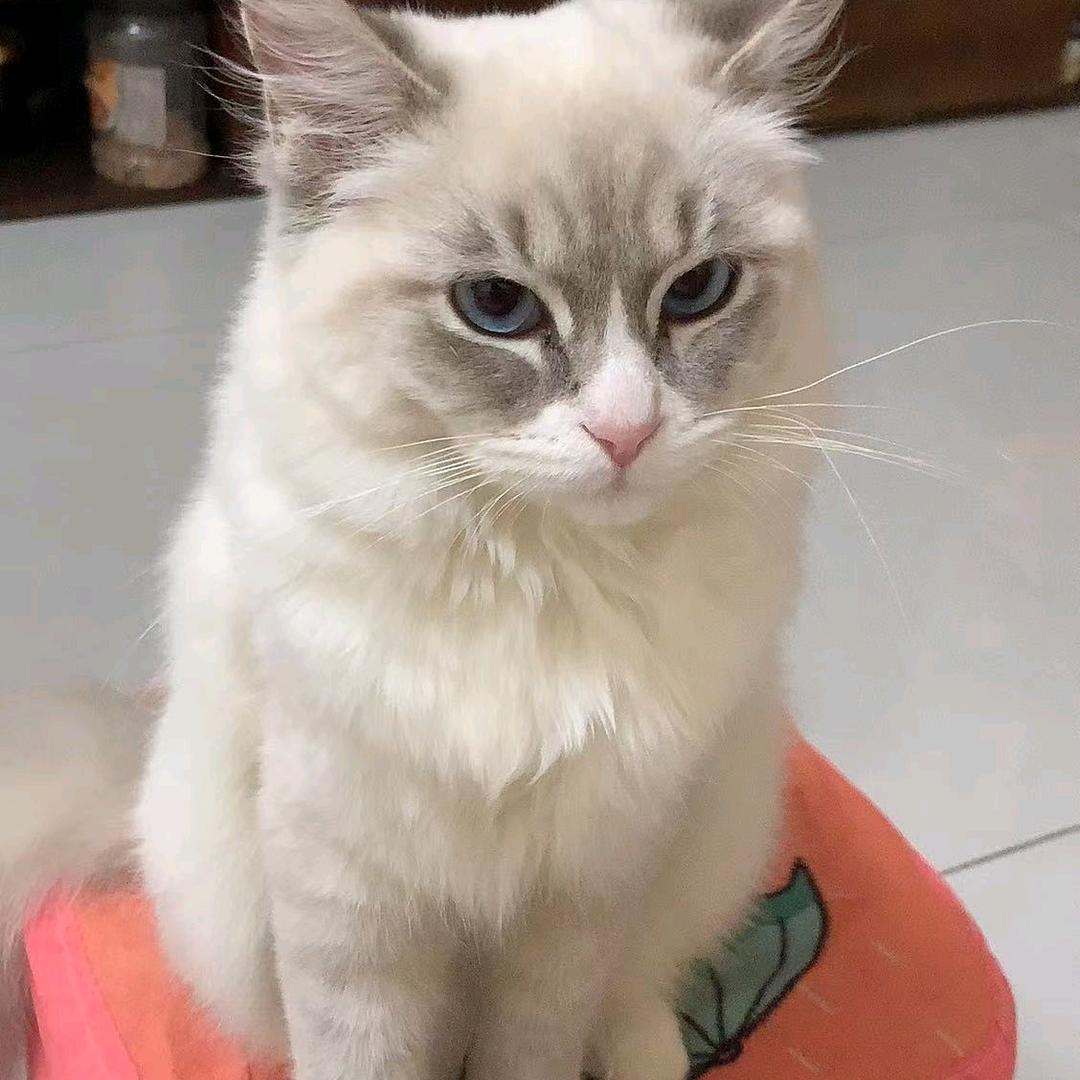 装饰，室内外墙一条龙装修