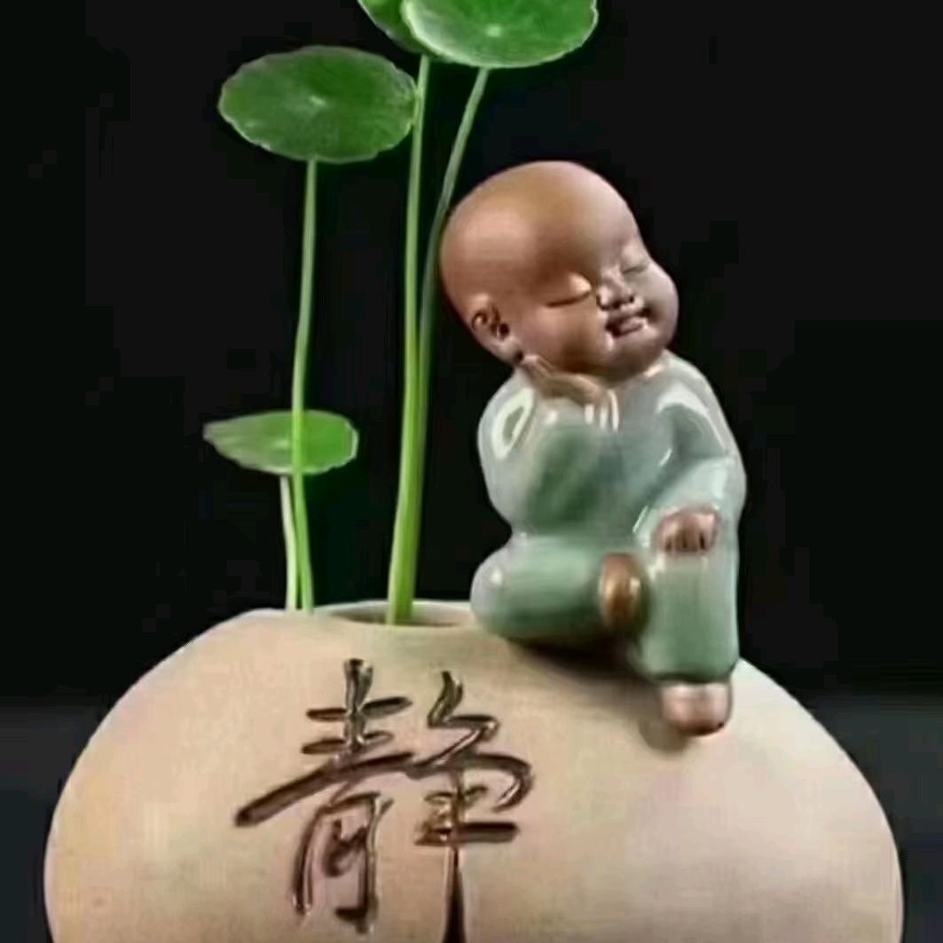 悟觉