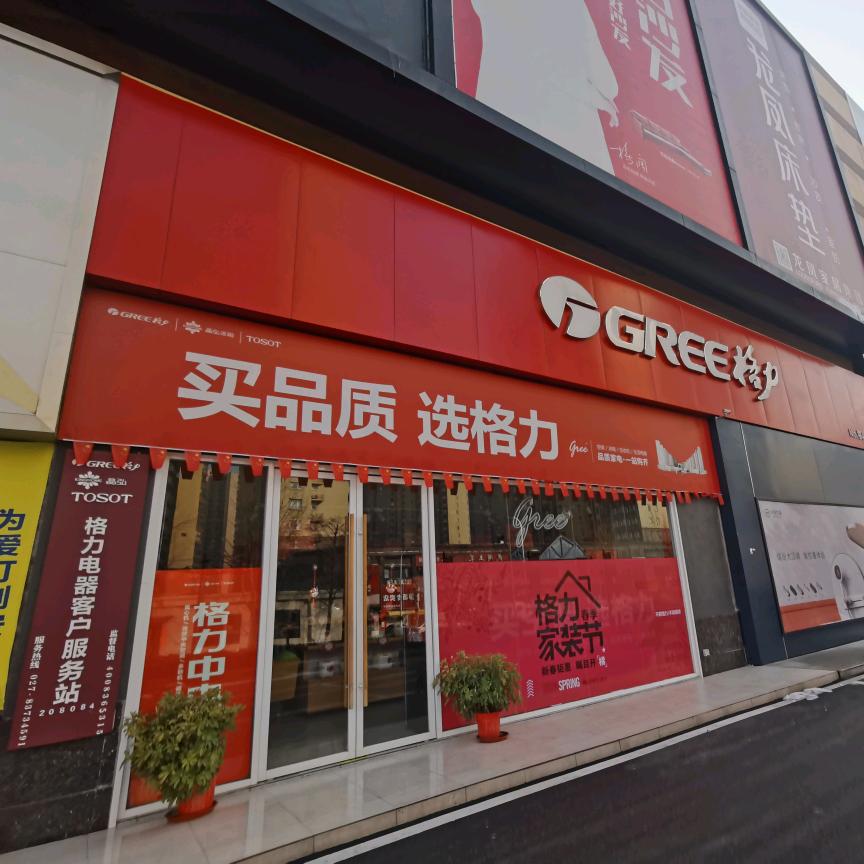 格力电器(汉西香江家居店)专用号