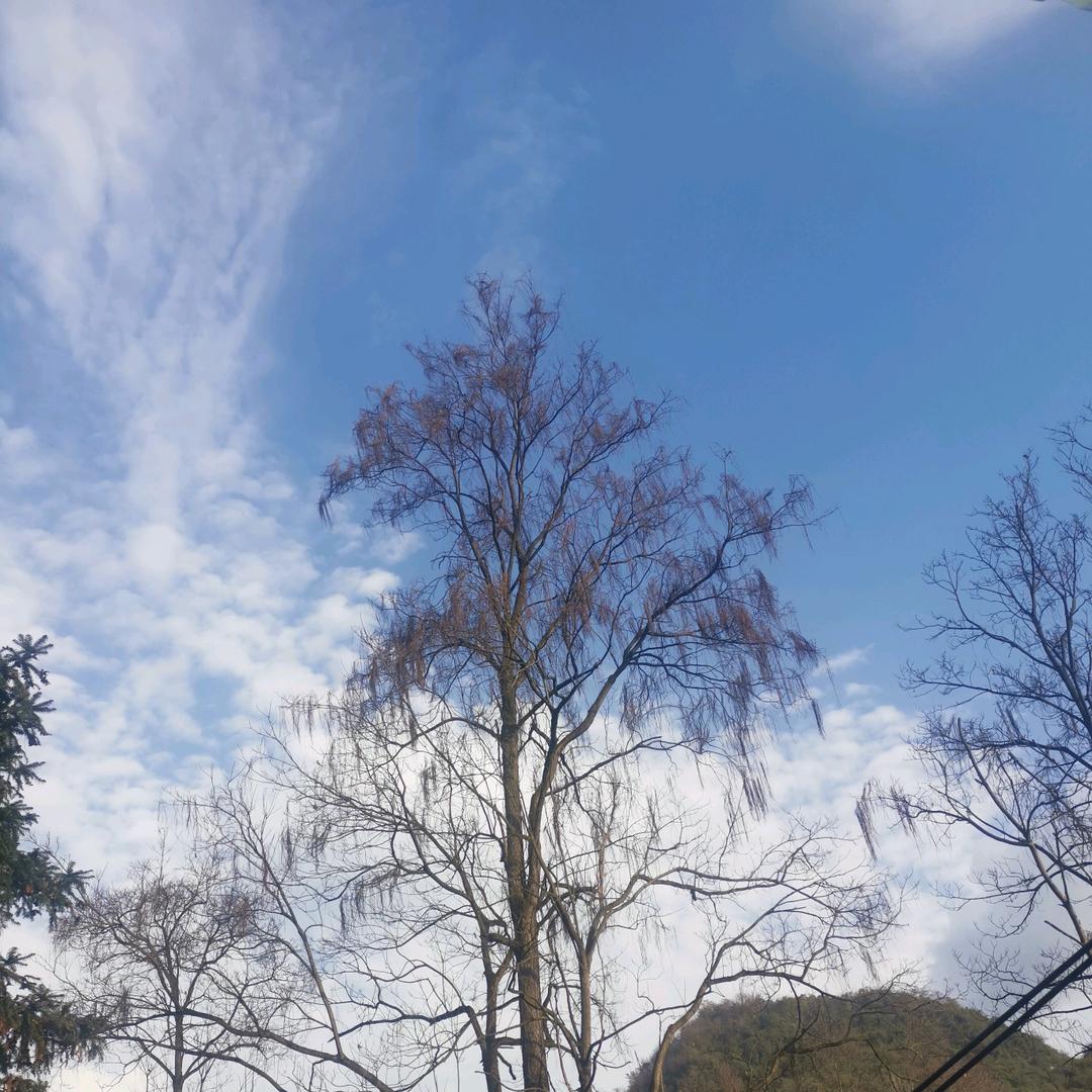 ☀️ . 东方