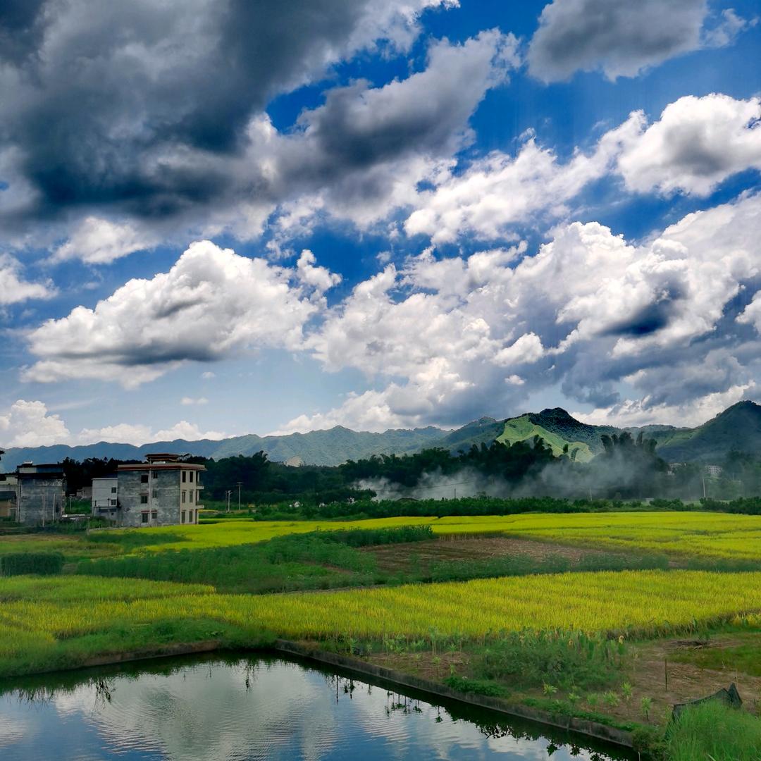 中国老虎🇨🇳