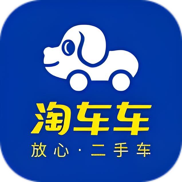 淘车车二手车·商丘店