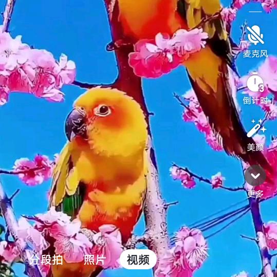 网络相遇