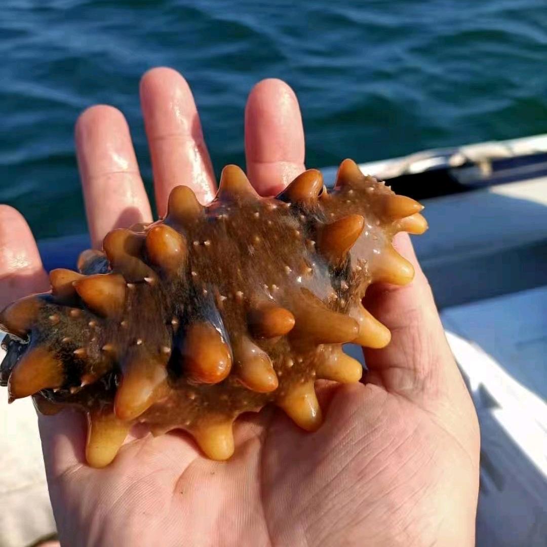 佳源堂海珍品铺