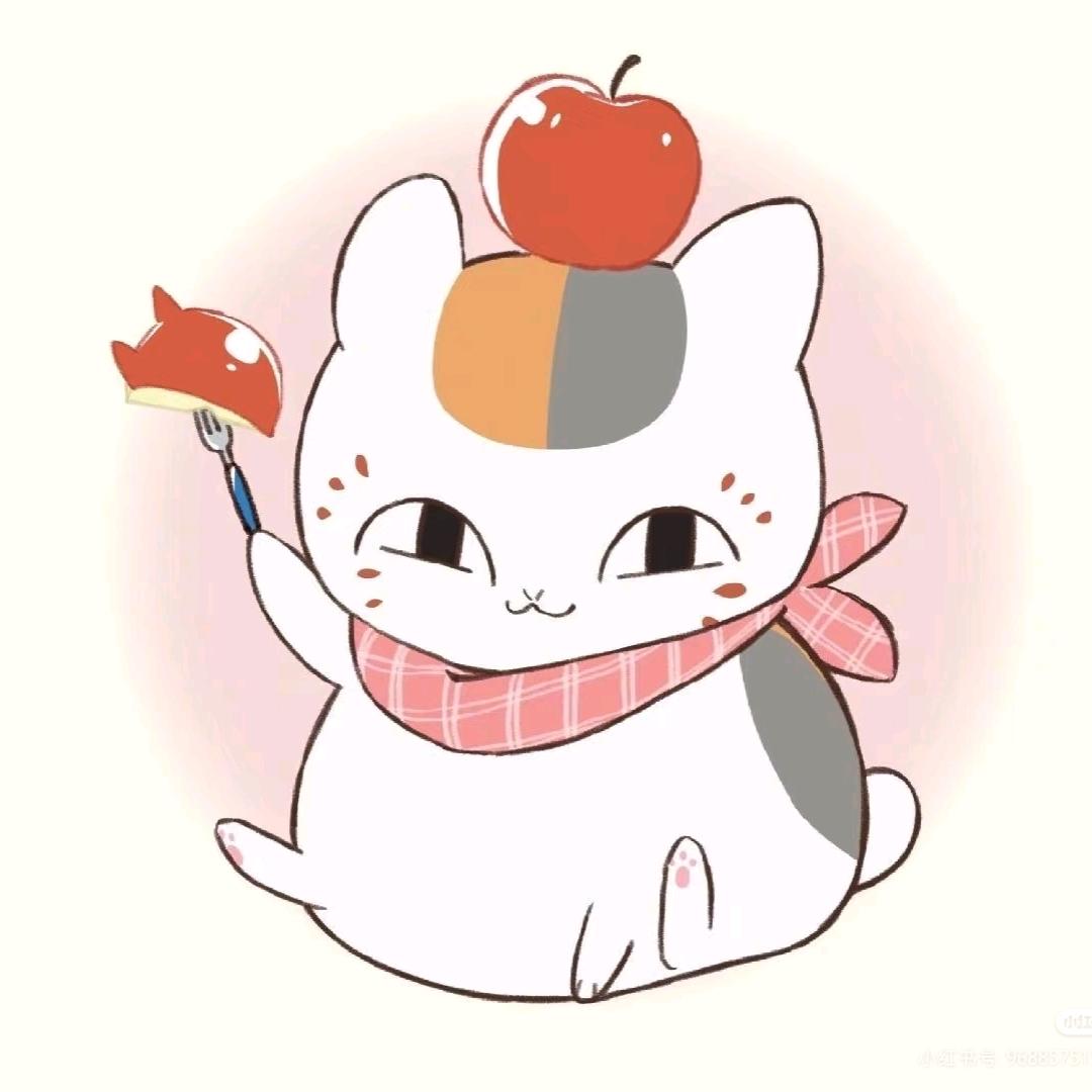 猫咪老师