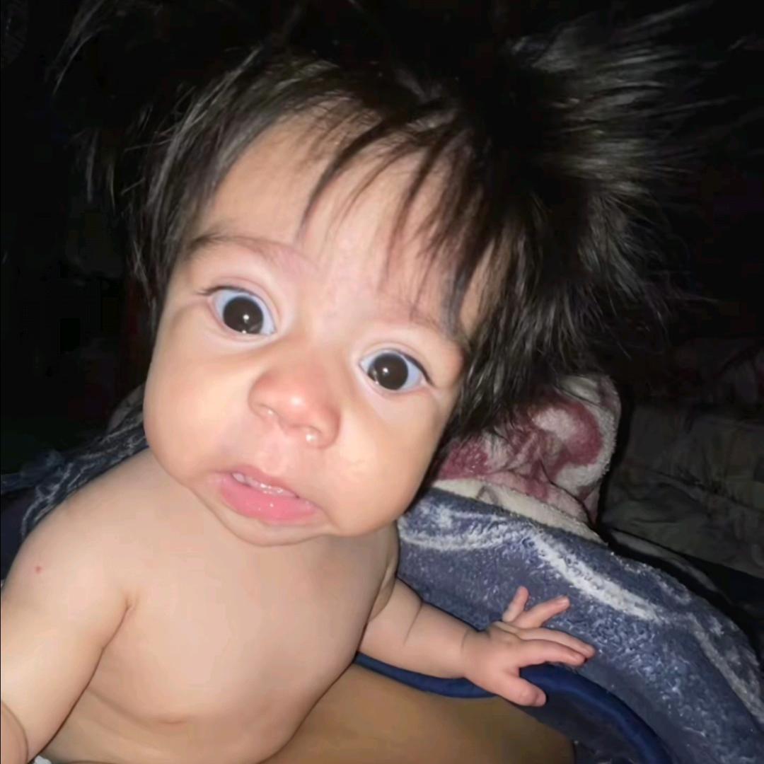 笨笨小刘
