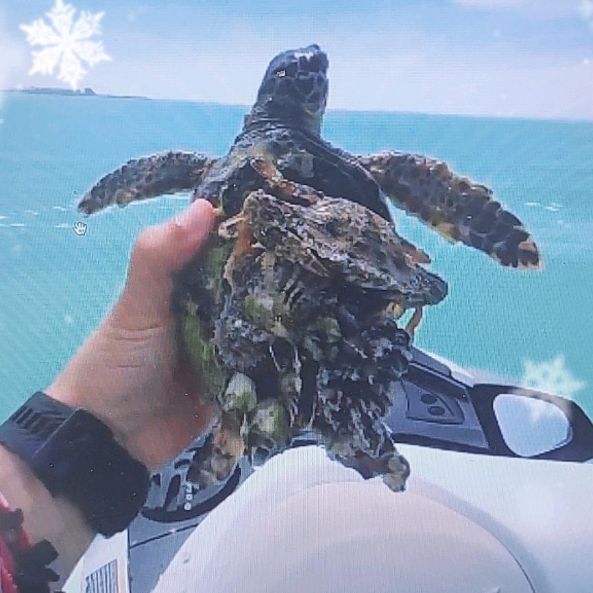 海洋世界