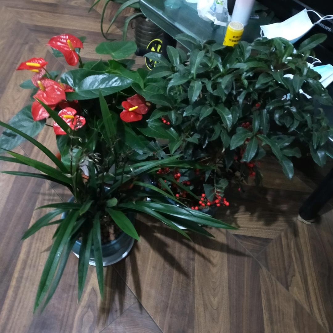 干工地