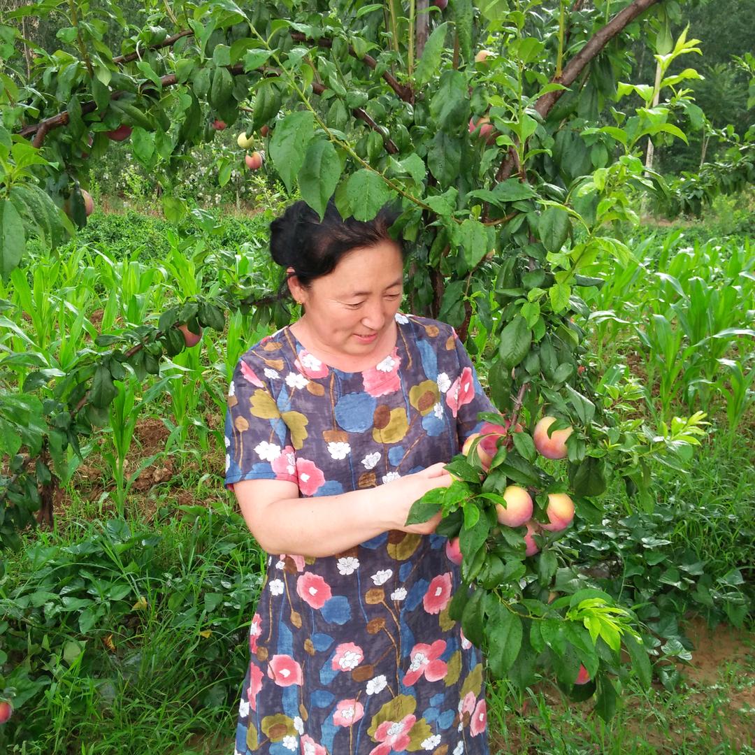 睿汐