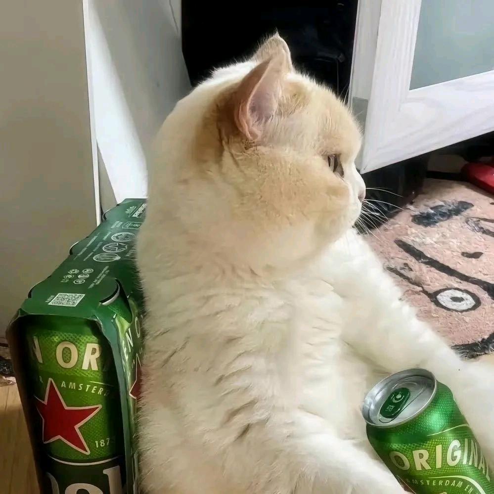 一条小贱
