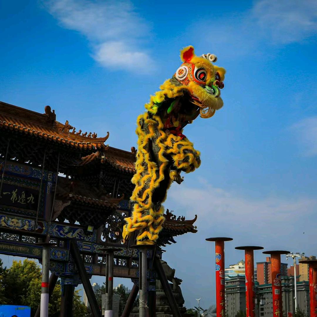 @河北華承堂舞狮团—亮亮（全国接单）