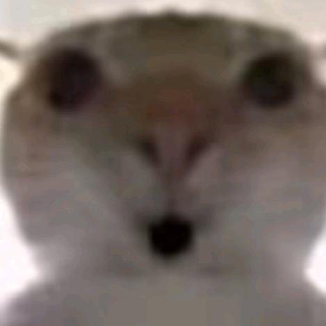 渡