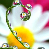 🍒᭄华仔💞࿐