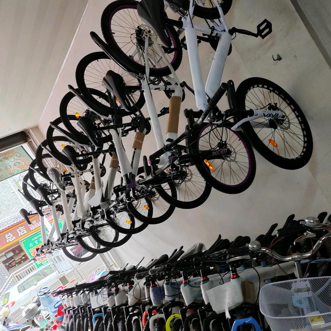 龙凤童车