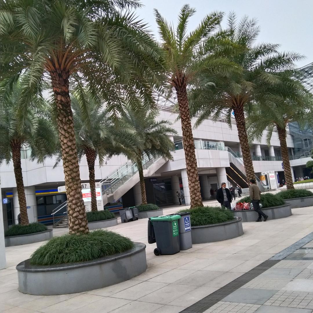 @平安一生@