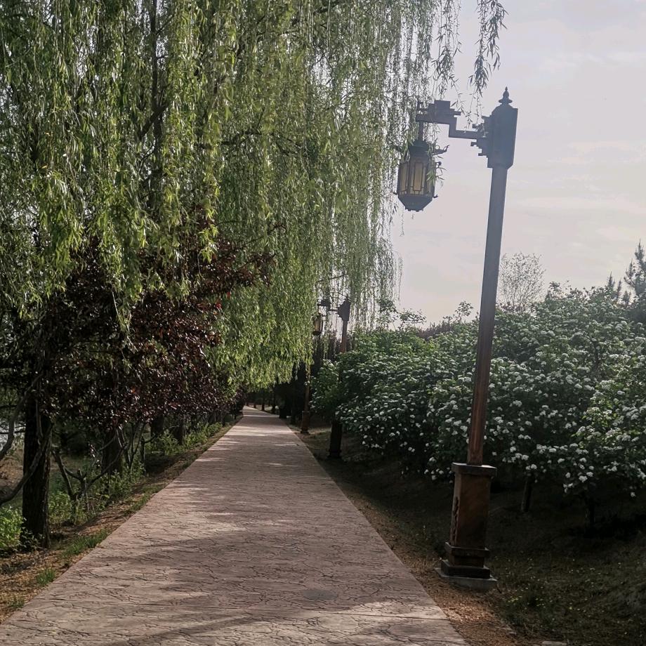 杨艳