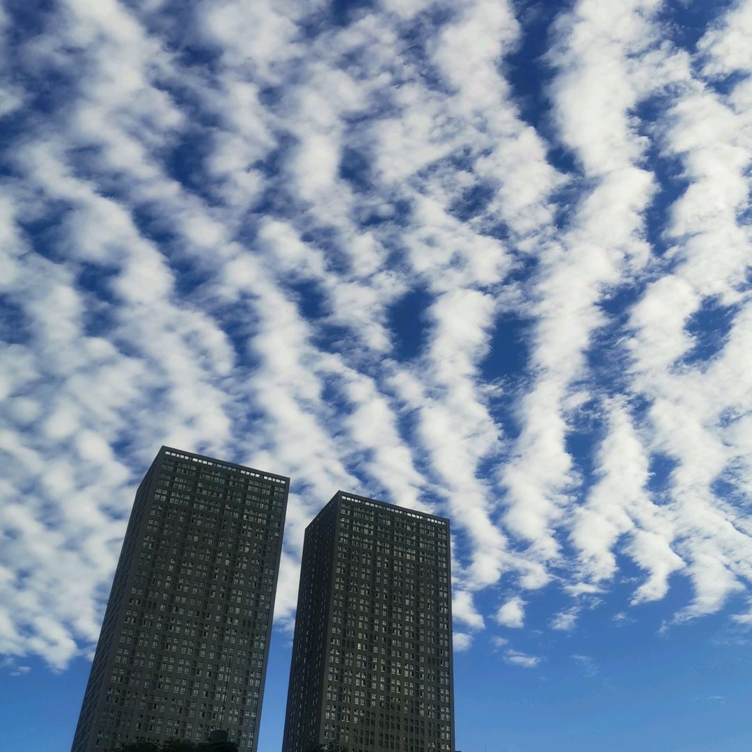 乘风破浪@