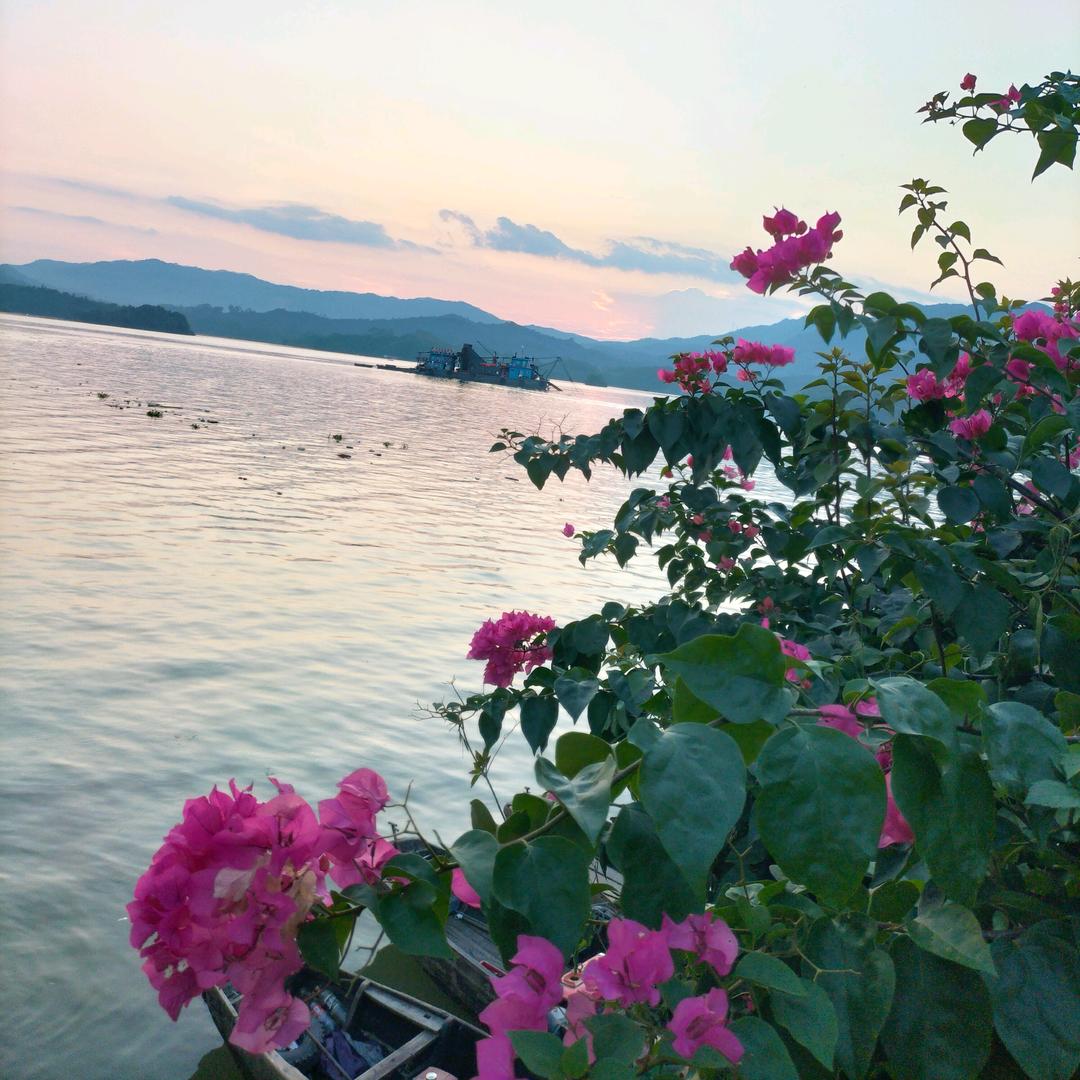 陌上花开