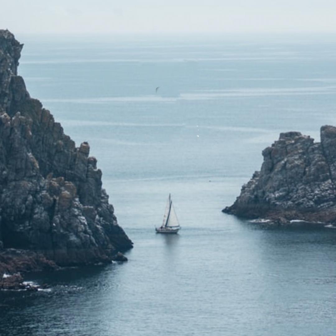 大榕树下的小花猫