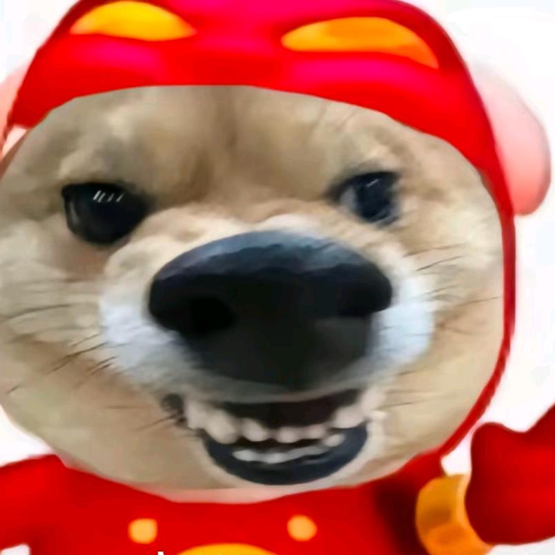 告诉你坝这啥
