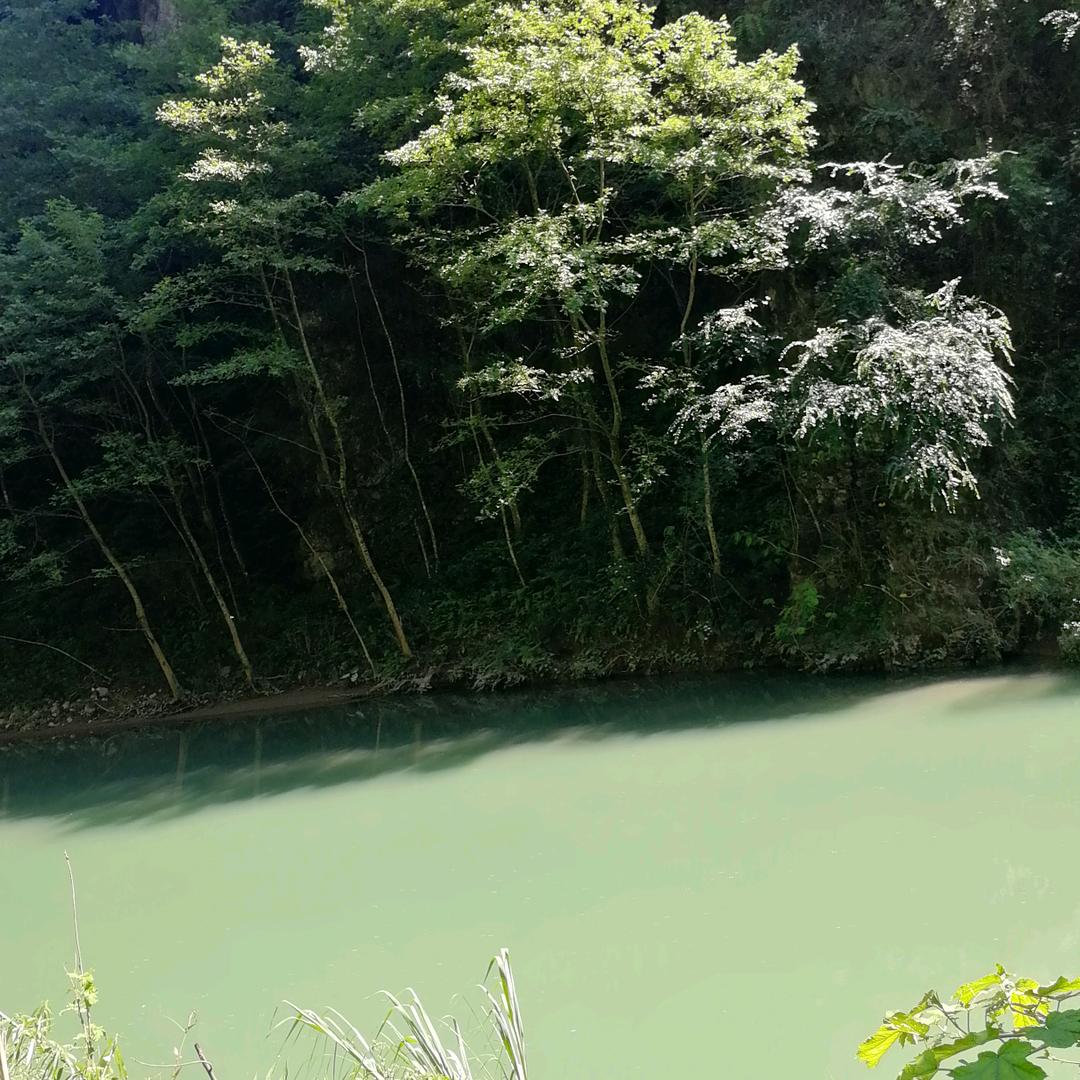 四海无闲田