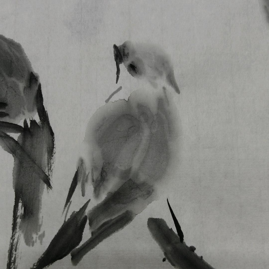 拂晓