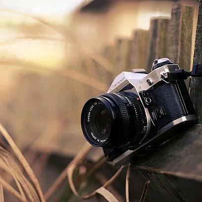墨鱼📷